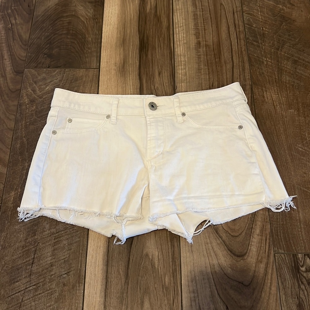 Articles of Society Shorts